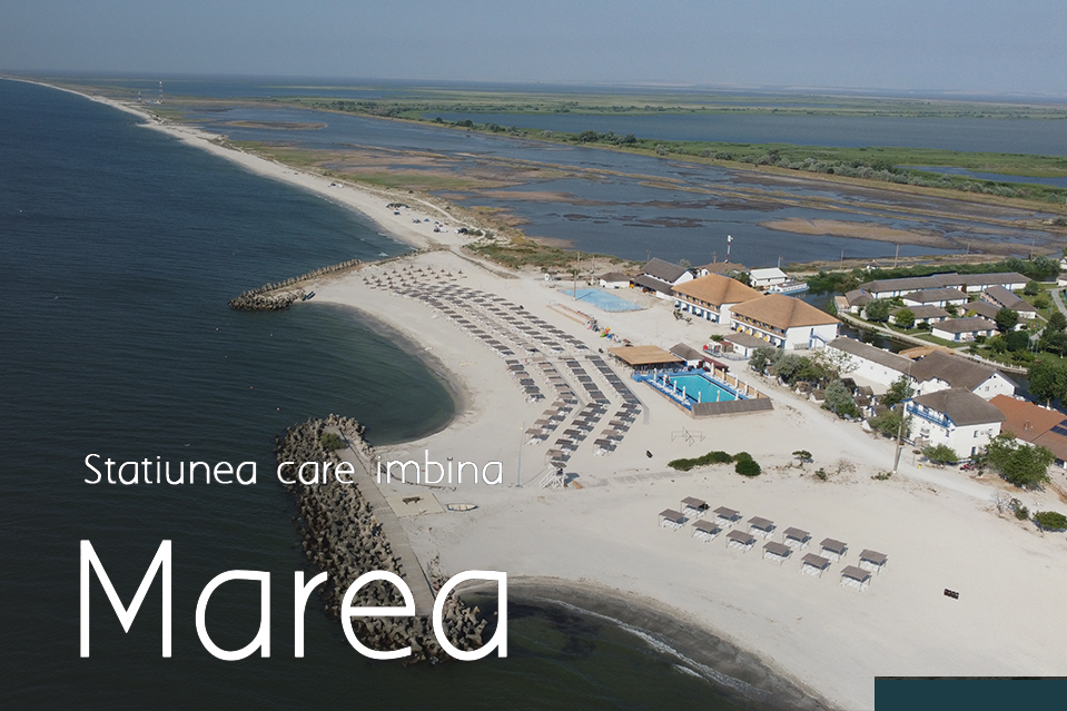 Marea